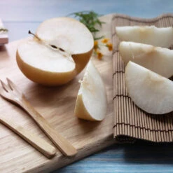 20th Century (Nijisseiki) Asian Pear -Garden Plants 20thCentury Pear 1 FGT