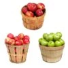 3-in-1 Apple Tree -Garden Plants 3 in 1 Apple 600x600 9edf9e9a ce86 4b58 beb9 2946adf65064