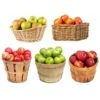 5-in-1 Apple Tree -Garden Plants 5 in 1 Apple 600x600 7aa95aa9 ebc1 4f49 a1e8 94e9b1d7155c