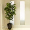 Black Bamboo -Garden Plants Black Bamboo FGT 600x600 04de0fc5 1b5b 4ead b329 04b366290ad6