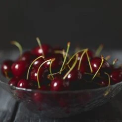 Black Tartarian Cherry Tree -Garden Plants Black Tartarian Cherry Tree 2 FGT