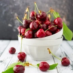 Brooks Cherry Tree -Garden Plants Brooks Cherry Tree 5 FGT