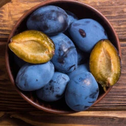 Brooks Plum Tree -Garden Plants Brooks Plum 2