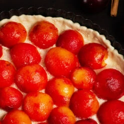 Bubblegum 'Toka' Plum Tree -Garden Plants Bubblegum Toka Plum 3