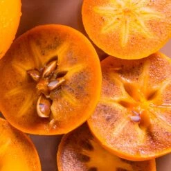 Chocolate Persimmon Tree 7 Chocolate Persimmon Tree -Garden Plants CHocolate Persimmon 2