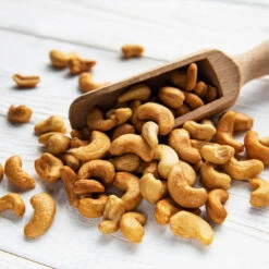 Cashew Tree -Garden Plants Cashew Nut Tree 5