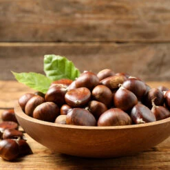 Chinese Chestnut Tree -Garden Plants Chinese Chestnut 3 FGT