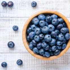 Climax Blueberry -Garden Plants Climax Blueberry 4