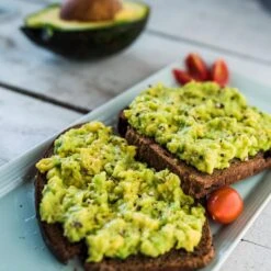 Condo™ Avocado Tree 13 Condo™ Avocado Tree -Garden Plants Day Condo Avocado 2