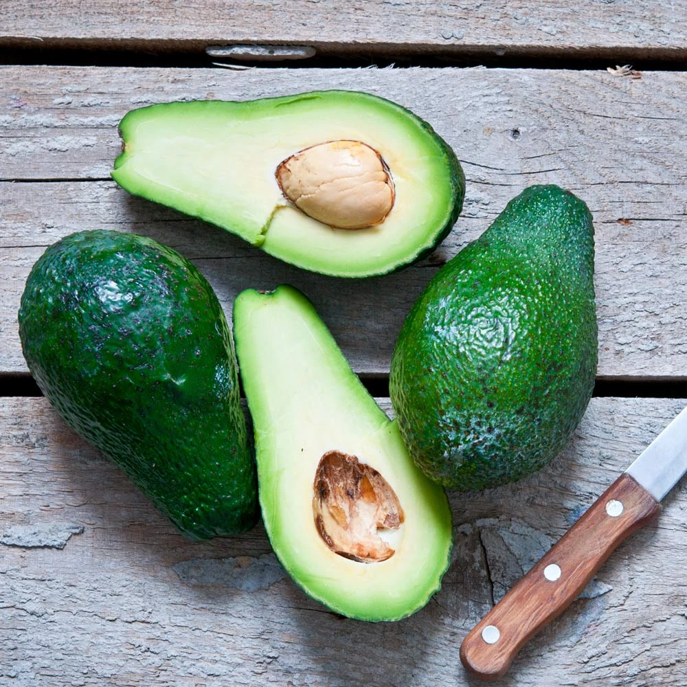 Condo™ Avocado Tree 7 Condo™ Avocado Tree - Image 5