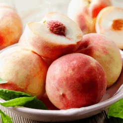 Early White Giant Peach Tree -Garden Plants Early White Giant Peach Tree 450 D1