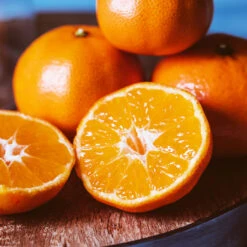 EasyPeel Clementine Tree -Garden Plants Easy Peel Clementine 4 FGT