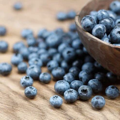 Emerald Blueberry Bush 7 Emerald Blueberry Bush -Garden Plants Emerald Blueberries 1