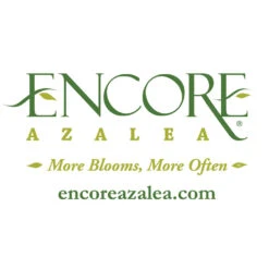 Autumn Belle® Encore® Azalea Shrub 13 Autumn Belle® Encore® Azalea Shrub -Garden Plants Encore Logo 1000x1000 f5ab977c d52a 42c7 bcc7 eb2c9ea0b488