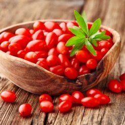 Goji Berry -Garden Plants Goji Berry 4