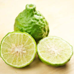 Kaffer 'Kieffer' Lime Tree 10 Kaffer 'Kieffer' Lime Tree -Garden Plants Kaffir Lime 7 FGT