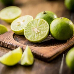 Key Lime Tree -Garden Plants Key Lime Tree 5 FGT