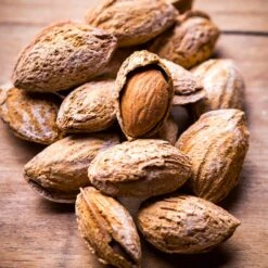 Nonpareil Almond Tree -Garden Plants Nonpareil Almonds 3