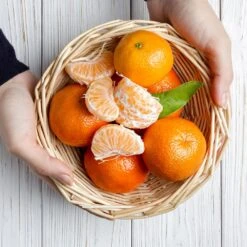 Page Mandarin Tree 9 Page Mandarin Tree -Garden Plants Page Mandarin Tree 2 FGT