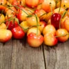 Rainier Cherry Tree -Garden Plants Rainier Cherry Tree FGT 600x600 1094475e 5dab 4191 8167 5c5a6519bb91
