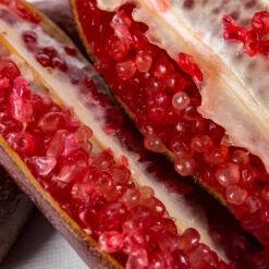 Red Finger Lime Tree 11 Red Finger Lime Tree -Garden Plants Red FInger Lime 1 1453b836 c1a1 4844 92f1 11e49d09cc4d