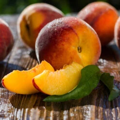 Red Baron Peach Tree 11 Red Baron Peach Tree -Garden Plants Red Baron Peach 4