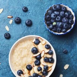 Reveille Blueberry Bush -Garden Plants Reville Blueberry 2