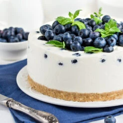 Sunshine Blue Blueberry Bush 9 Sunshine Blue Blueberry Bush -Garden Plants SUnshine BLue Blueberry 4