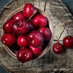 Santina™ Cherry Tree -Garden Plants Santina Cherry 1