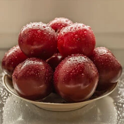 Satsuma Plum Tree 11 Satsuma Plum Tree -Garden Plants Satsuma Plum 3