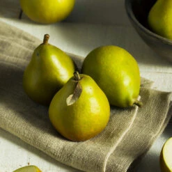 Seckel Pear Tree -Garden Plants Seckel Pear 5