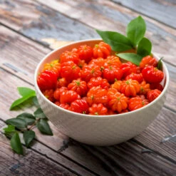 Star Cherry Tree (Pitanga) -Garden Plants Star Cherry 3 FGT