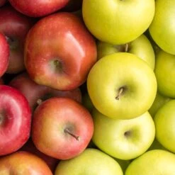 3-in-1 Apple Surprise Tree 8 3-in-1 Apple Surprise Tree -Garden Plants Surprise Apple 1 9111e7d8 7d95 445c 88ac 8ea14a2ebb53