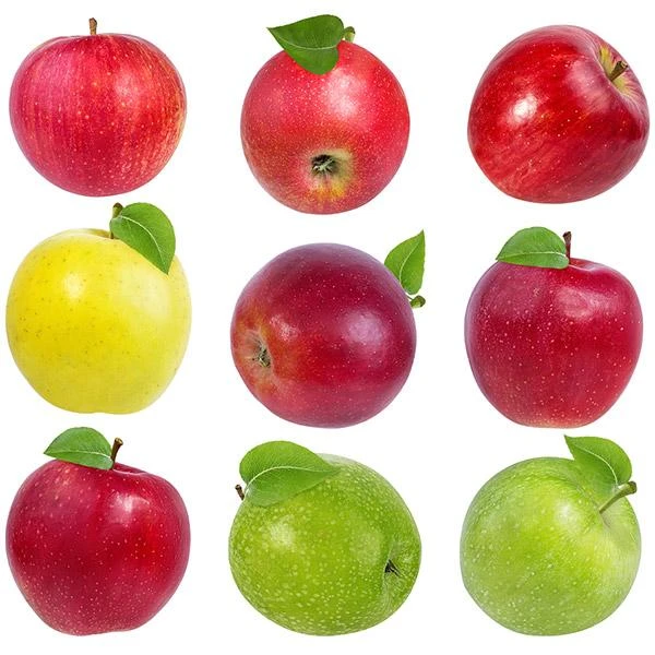 4-in-1 Apple Surprise Tree 3 4-in-1 Apple Surprise Tree