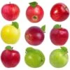 2-in-1 Apple Surprise Tree 2 2-in-1 Apple Surprise Tree -Garden Plants Surprise Apple 600x600 a4bc04f8 7f63 472c adcf f60b35ae201d