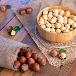 Theta Filbert Hazelnut 9 Theta Filbert Hazelnut -Garden Plants THeta FIlbert Hazelnut 4