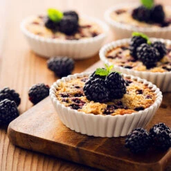 Thornless Blackberry -Garden Plants Thornless Blackberry 2