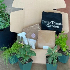 Patio Tomato Garden -Garden Plants Tomato Garden kit 2