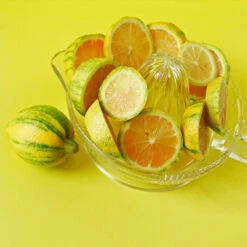 Pink Variegated Eureka Lemon Tree -Garden Plants Variegated Pink Eureka 3