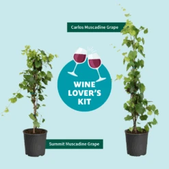 Wine Lover's Kit -Garden Plants WineLoversKitGraphic 2