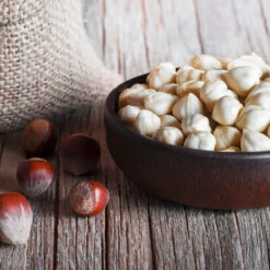 York Filbert Hazelnut -Garden Plants York Hazelnut 5